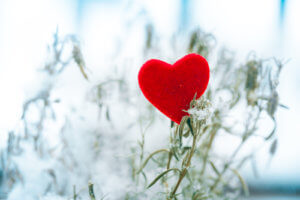 red heart in snow on branch closeup